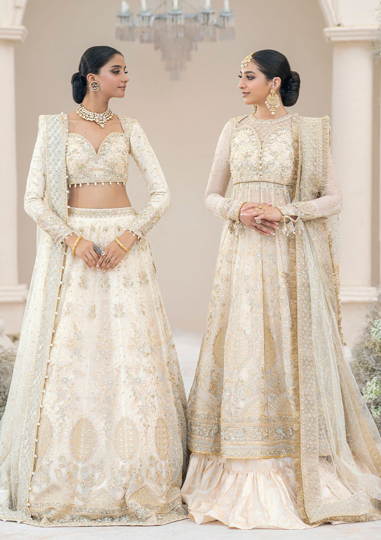 AKI 35 Chiffon Pakistani Wedding Dress - full outfit view
