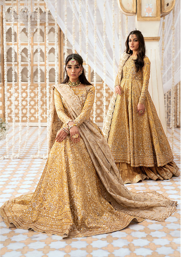 AKI 39 Pakistani Wedding Dress - full outfit view