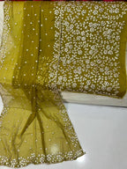 Custom-Stitched Embroidered Wedding,Mehndi and Mayo Dresses in the USA