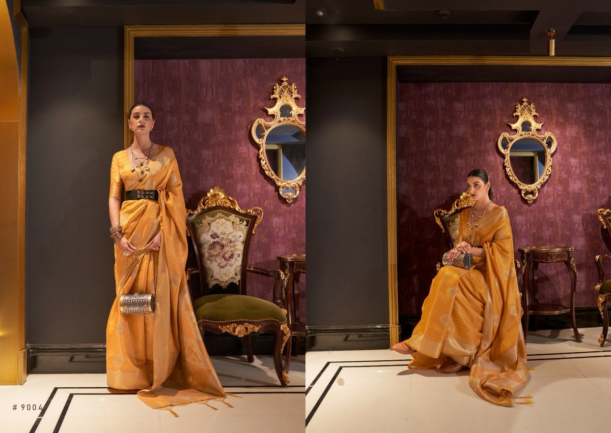 Handloom Sarees Silk - full outfit view