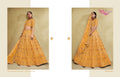 Embroidered Lehenga Choli - front view | Desi Clothing USA