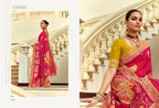Designer Indian Saree - fabric and embroidery detail | Desi Clothing USA