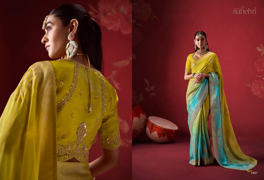 Designer Indian Saree - product view 8 | Desi Clothing USA